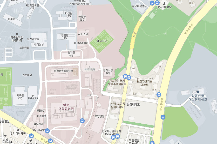 약도